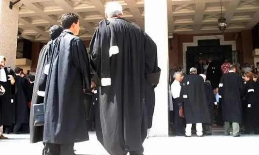 وزارة العدل تعلن تنزيل قانون المحاماة الجديد بالتنسيق مع هيئات المحامين بعد صدوره بالجريدة الرسمية