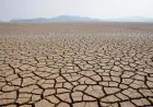 Le projet européen EWALD teste au Maroc son outil anti-désertification par satellite