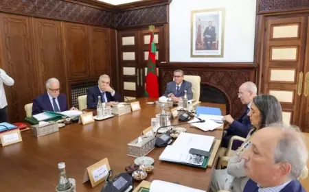مشاريع قوانين ومراسيم جديدة في اجتماع مجلس الحكومة الخميس المقبل