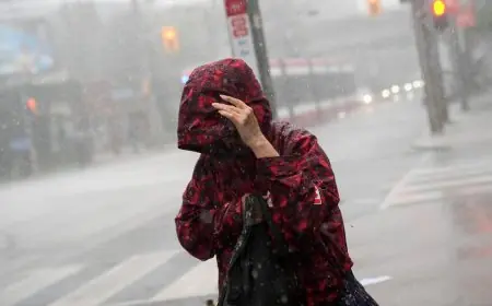 Une tempête d’une rare violence paralyse Toronto et plonge 65 000 personnes dans le noir