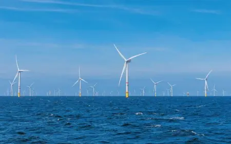 Éolien offshore : Le Maroc lance l’étude de faisabilité de son premier parc de 1000 MW au large d’Essaouira