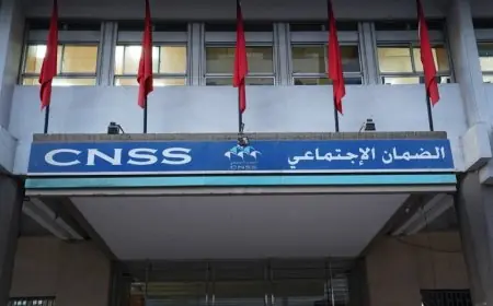 La CNSS lance deux nouvelles filiales et fait le bilan d’une année 2025 en forte croissance