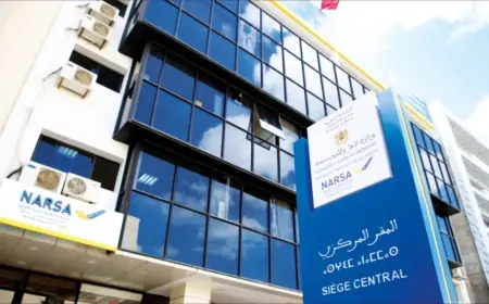 نارسا تكشف حقيقة موعد استبدال صفائح تسجيل المركبات بالمغرب