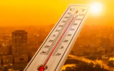 الأرصاد الجوية تحذر من موجة حر تصل إلى 46 درجة بالمغرب