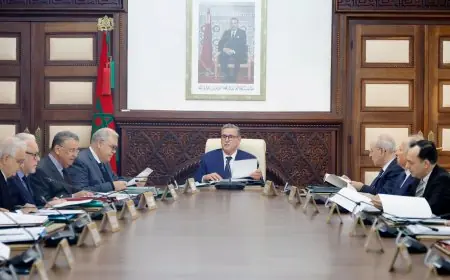 مجلس الحكومة يصادق على تعديل مرسوم دعم السكن وتطبيق قانون حظر الأسلحة الكيميائية