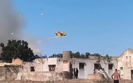 طائرات كنادير تتدخل لإخماد حريق اندلع في غابة القلعيين بالعرائش