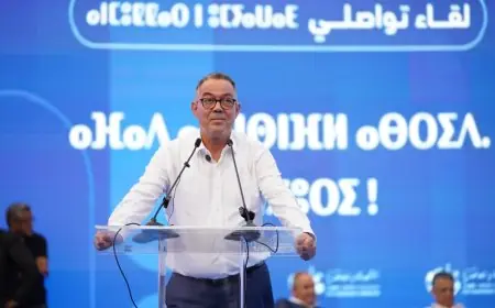 لقجع يكشف وصفة “البام” لتمويل 350 مليار درهم دون إثقال جيوب المغاربة