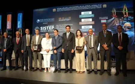 Une zone industrielle de 800 hectares en projet entre le Maroc et la Mauritanie