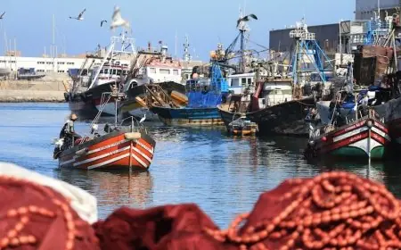 مفرغات الصيد بموانئ المتوسط ترتفع بنسبة 9%