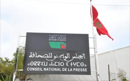 اللجنة المؤقتة تعلن عن أسماء الناشرين الفائزين بعضوية المجلس الوطني للصحافة