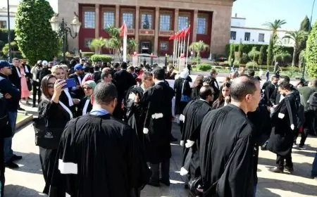 محامو المغرب يمددون التوقف عن العمل إلى 7 أكتوبر ويترقبون مرحلة تشريعية جديدة