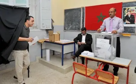 ملاحظ دولي مكسيكي يشيد بأجواء الاقتراع بالرشيدية ويبرز مهنية أعضاء مكاتب التصويت