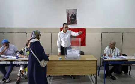 مقاعد برلمانية تتجه إلى الحسم لفائدة جودار والمهاجري وشباط وبوانو