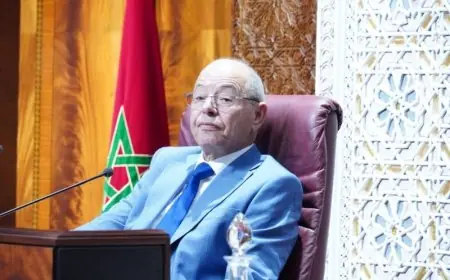 من رئاسة جلسات مجلس النواب إلى خارج البرلمان.. الانتخابات تنهي مسار الشطيبي