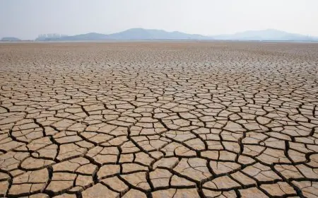 Le projet européen EWALD teste au Maroc son outil anti-désertification par satellite