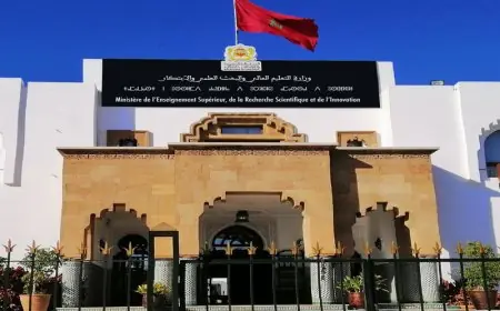 قرار مشترك يحدد تعويضات مسؤولي الجامعات ورؤساء الأقسام