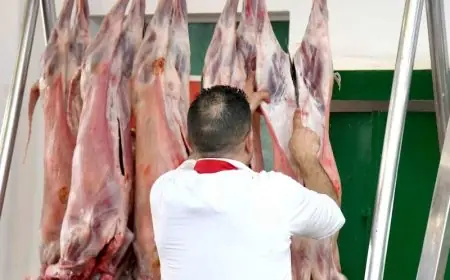 أسعار اللحوم تعود إلى الارتفاع بالمغرب.. تطور الأسعار خلال شهر غشت