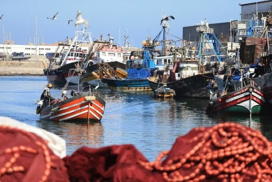 مفرغات الصيد بموانئ المتوسط ترتفع بنسبة 9%