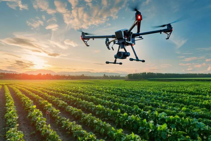 Agriculture intelligente : Rabat et Québec veulent bâtir un corridor commun vers l'Afrique