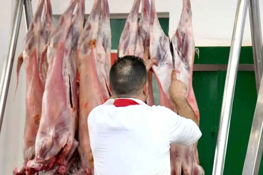 أسعار اللحوم تعود إلى الارتفاع بالمغرب.. تطور الأسعار خلال شهر غشت