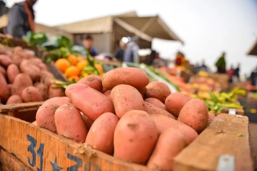 أسعار البطاطس بالمغرب تقفز إلى 8 دراهم للكيلوغرام